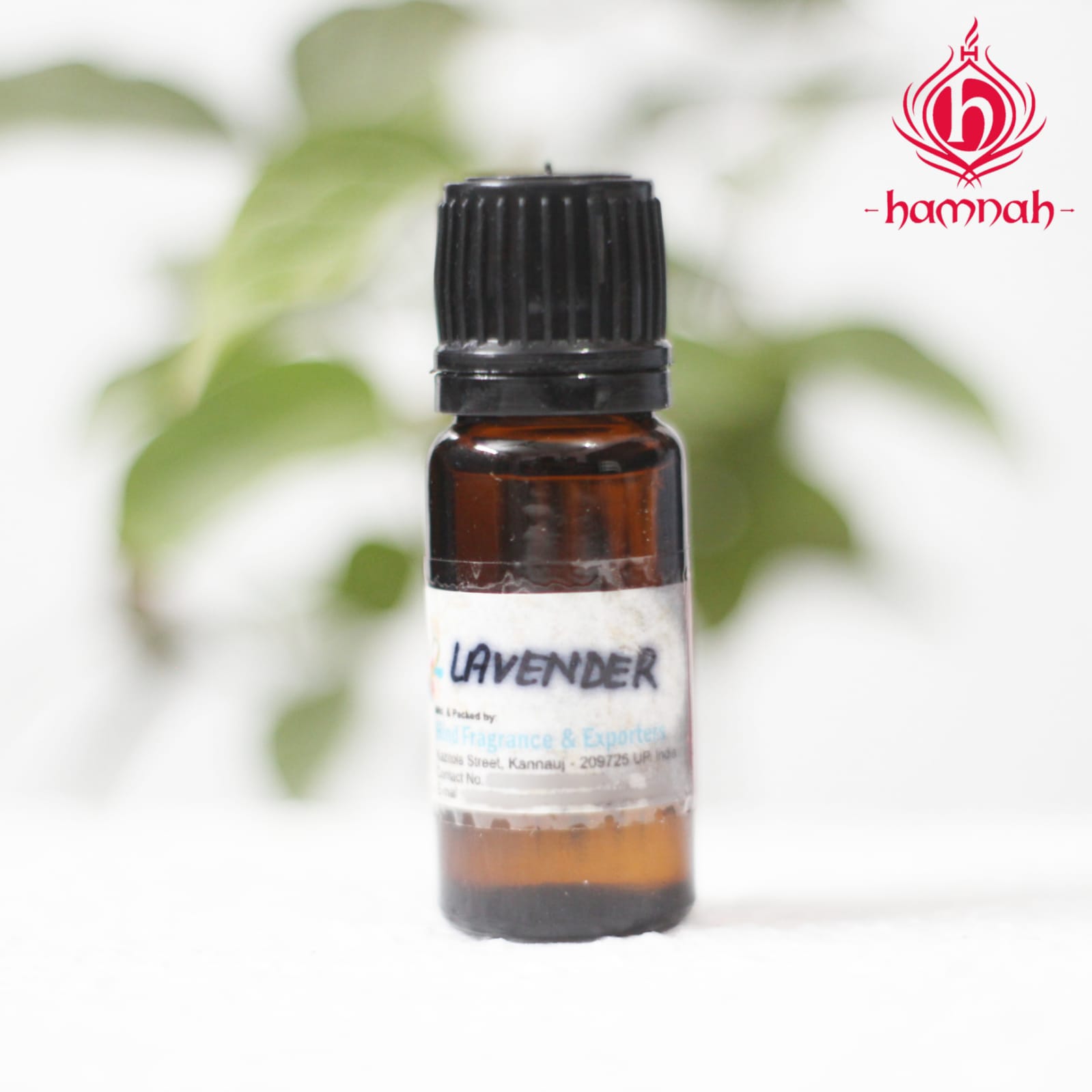 WhatsApp Image 2021-09-26 at 10.30.28 PM