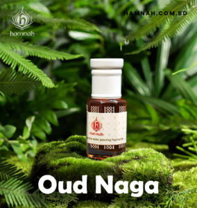 Oud Naga